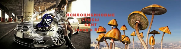 прущая мука Арсеньев
