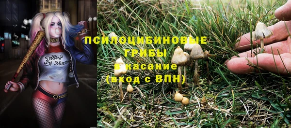 прущая мука Арсеньев