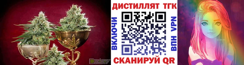 Купить закладки  Суджа  Дистиллят ТГК концентрат 