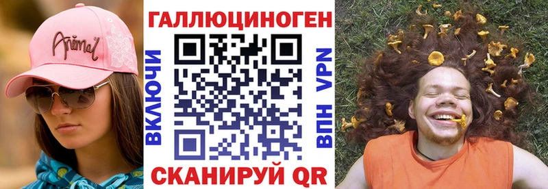 Галлюциногенные грибы Psilocybine cubensis  Купить  Суджа 