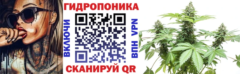 Купить закладки  Суджа  Шишки марихуана VHQ 